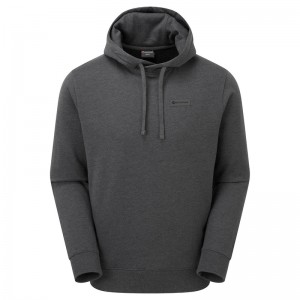 Montane Mono Logo Hoodie Herr Mörkgrå | TQPURZ250