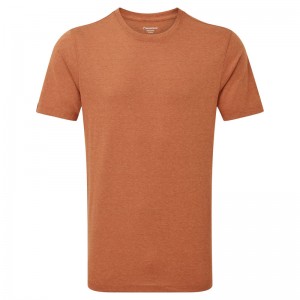 Montane Phase T-Shirt Herr Bruna | LOKNZM702